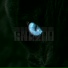 GNEZDO