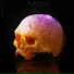 Antipode