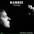 BAMBIZ, Анастасия Новопашина