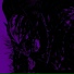 dxadly