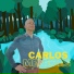 Carlos Menezes