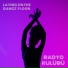 Radyo Kulübü