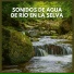 Sonidos De La Selva