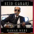 Seid Gabari
