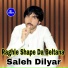Saleh Dilyar