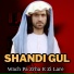 Shandi Gul