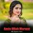 Amin Ullah Marwat