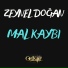 Zeynel Doğan