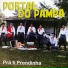 Portal Do Pampa
