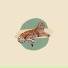 Santi Castro
