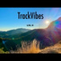 TrackVibes