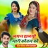 Vimal Meena Satwara