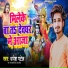 Dhanesh Patel