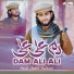 Asad Jamil Sultani