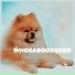 Whosagoodsong