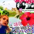 Cat & The Kings
