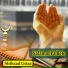 Shihzad Ustaz