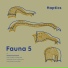 Fauna 5