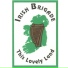 The Irish Brigade
