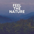 The Nature Soundscapes