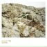 Cosmin TRG