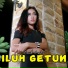 Denik Armila