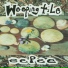 Weeping Tile