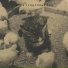 клуб уродливых лиц