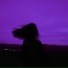 Ambient Vital, Universatility Group