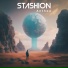 Stashion