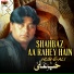 Hub E Ali