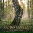 Вспомнить всё