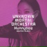 Unknown Mortal Orchestra