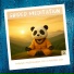 Medi Panda