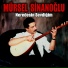 Mürsel Sinanoğlu