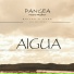 Pangea Music Project