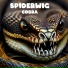 SPIDERWIG