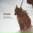 Avias
