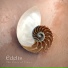 Edelis -The River of Times