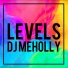 DJ MEHOLLY