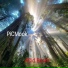 Picmook