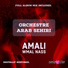 Orchestre Arab Sehiri