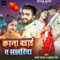 Bedard Sajan, Aaisha Raj