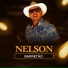 Nelson Barretão