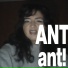 ANTIPATRIARKA