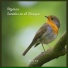 Sonidos De Pajaros