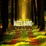 Bizzil Band