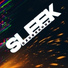 Sleek feat CJ Raiden & ADM при уч. Евгении П.