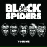 Black Spiders