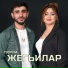 группа Жегьилар